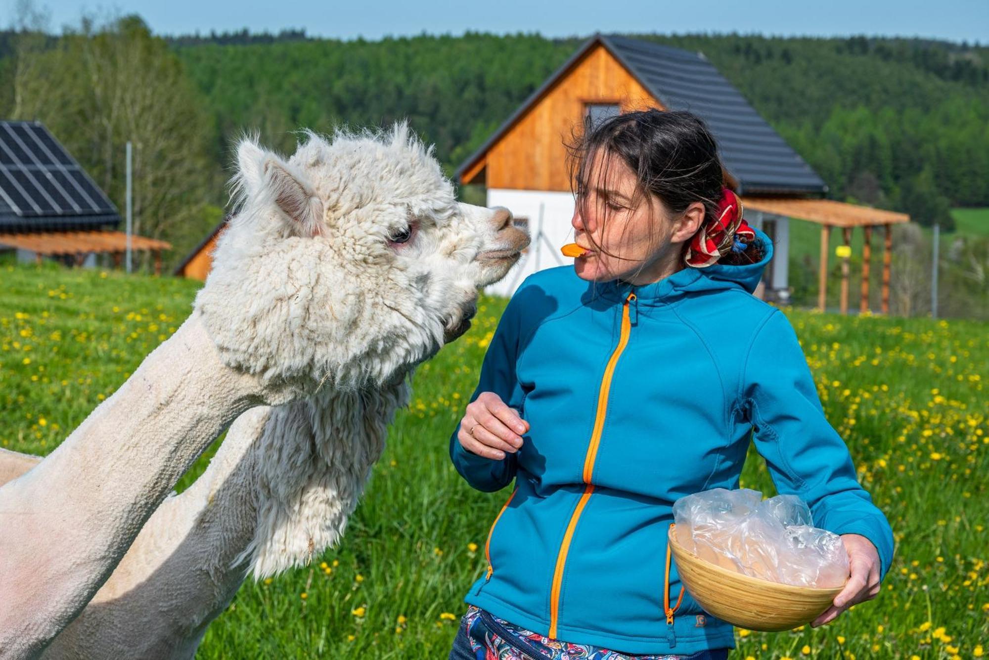 Pastelova Krova - Domki W Bieszczadach Ustrzyki Dolne Exteriör bild